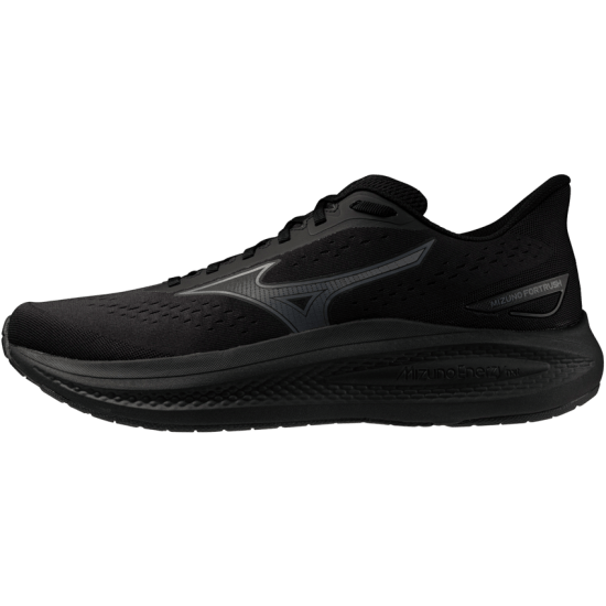 Мужские кроссовки для бега Mizuno FORTRUSH (J1GC264804) фото 1