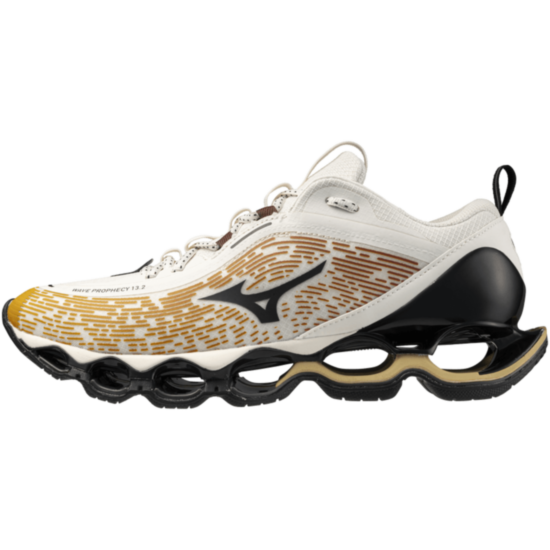 Чоловічі повсякденні кросівки Mizuno Wave PROPHECY 13.2 (D1GA260H02) фото 1