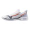 Мужские теннисные кроссовки Mizuno Wave EXCEED TOUR 7 CC (61GC267502)