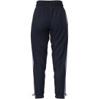 Женские спортивные штаны Mizuno ATHLETICS TRACK PANTS(W) (K2GDC70288)