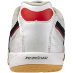 Мужские футзалки для минифутбола Mizuno MORELIA SALA PRO IN (Q1GA251309)