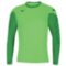Мужская вратарская футболка Mizuno TRAD GK PADDED SHIRT (P2EA8A3530)
