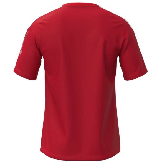 Мужская футбольная футболка Mizuno MZNRB TEE(M) (P2EAB55062) фото 2