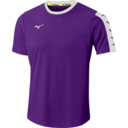 Мужская футболка для тренировок Mizuno NARA TRAINING TEE M (32FA9A5167)