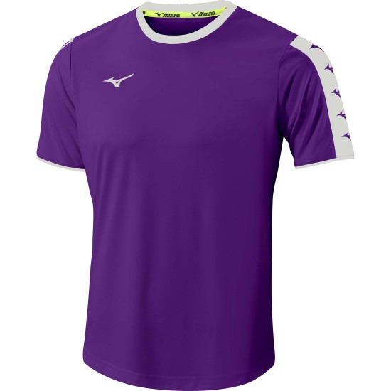 Мужская футболка для тренировок Mizuno NARA TRAINING TEE M (32FA9A5167) фото 1