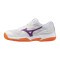 Женские теннисные кроссовки Mizuno BREAK SHOT 5 CC (61GC252602)