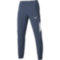 Чоловічі спортивні штани Mizuno SHADOW WOVEN PANTS (62GDD00113)