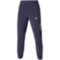 Мужские спортивные штаны Mizuno FRONTIER SHADOW PANTS(M) (62GDC00105)