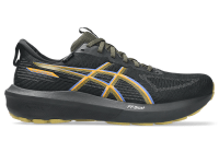 Мужские кроссовки для бега ASICS GT-1000 14 GTX (1011C078-001)