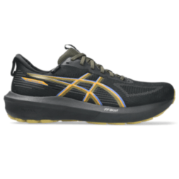 Мужские кроссовки для бега ASICS GT-1000 14 GTX (1011C078-001)