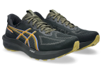 Чоловічі кросівки для бігу ASICS GT-1000 14 GTX (1011C078-001)
