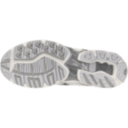 Мужские повседневные кроссовки Mizuno Wave RIDER 10 ''SPORT'' (D1GA261D05)