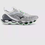 Мужские повседневные кроссовки Mizuno Wave PROPHECY 13.2 (D1GA261303)