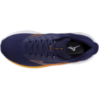 Женские беговые кроссовки Mizuno FORTRUSH (J1GD264872)