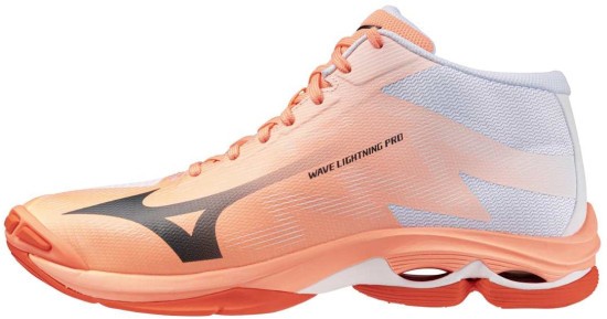 Мужские волейбольные кроссовки Mizuno Wave LIGHTNING PRO MID (V1GA266580) фото 1