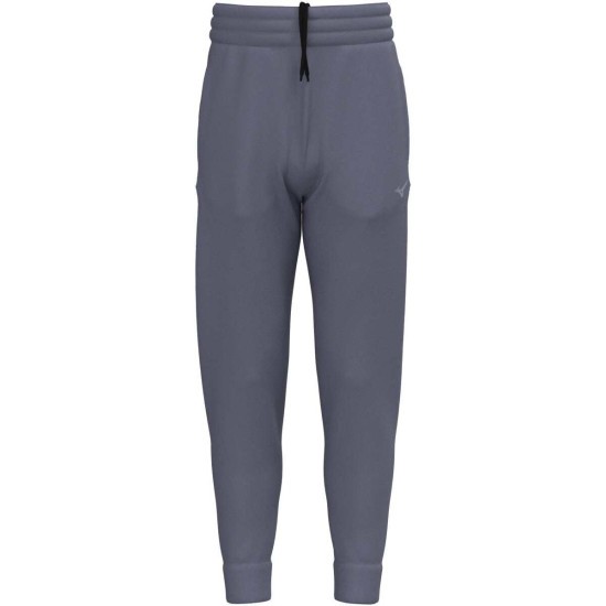 Мужские спортивные штаны Mizuno ATHLETICS SWEAT PANTS(M) (K2GDC50205) фото 1