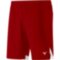 Мужские гандбольные шорты Mizuno PREMIUM HANDBALL SHORT M (X2FB9A0262)