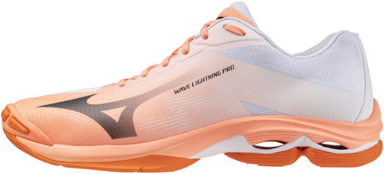 Мужские волейбольные кроссовки Mizuno Wave LIGHTNING PRO (V1GA266080) фото 1