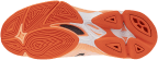 Мужские волейбольные кроссовки Mizuno Wave LIGHTNING PRO (V1GA266080)