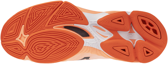 Мужские волейбольные кроссовки Mizuno Wave LIGHTNING PRO (V1GA266080) фото 2