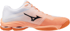 Мужские волейбольные кроссовки Mizuno Wave LIGHTNING PRO (V1GA266080)