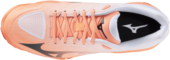 Мужские волейбольные кроссовки Mizuno Wave LIGHTNING PRO (V1GA266080) фото 4