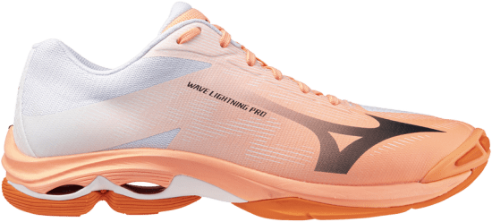 Мужские волейбольные кроссовки Mizuno Wave LIGHTNING PRO (V1GA266080) фото 6