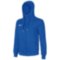 Мужское худи Mizuno SWEAT FZ HOODIE (32EC850022)