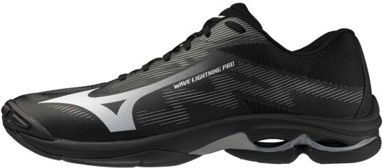 Мужские волейбольные кроссовки Mizuno Wave LIGHTNING PRO (V1GA266082) фото 1