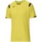 Детская гандбольная футболка Mizuno PREMIUM HANDBALL SHIRT JR (X2FA9B0245)