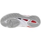 Мужские гандбольные кроссовки Mizuno Wave MIRAGE 5 (X1GA235059)