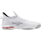 Мужские гандбольные кроссовки Mizuno Wave MIRAGE 5 (X1GA235059)