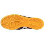 Мужские футзалки для минифутбола Mizuno MRL SALA CLUB IN (Q1GA240392)