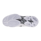 Мужские волейбольные кроссовки Mizuno Wave LIGHTNING PRO (V1GA266083)