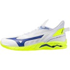 Мужские гандбольные кроссовки Mizuno Wave MIRAGE 5 (X1GA235039)
