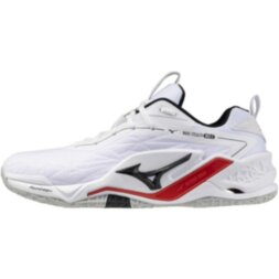 Мужские гандбольные кроссовки Mizuno Wave STEALTH NEO 2 (X1GA240059)