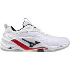 Мужские гандбольные кроссовки Mizuno Wave STEALTH NEO 2 (X1GA240059)