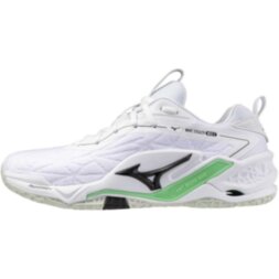 Мужские гандбольные кроссовки Mizuno Wave STEALTH NEO 2 (X1GA240016)