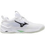 Мужские гандбольные кроссовки Mizuno Wave STEALTH NEO 2 (X1GA240016)