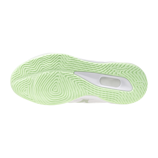 Жіночі волейбольні кросівки Mizuno Wave LUMINOUS ELITE (V1GC262085) фото 2