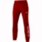 Мужские спортивные штаны Mizuno TERRY PANT (32ED7B65C62)