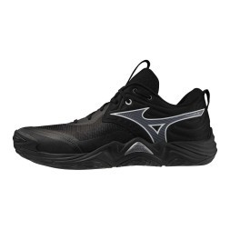 Мужские волейбольные кроссовки Mizuno Wave MOMENTUM ELITE (V1GA251282)