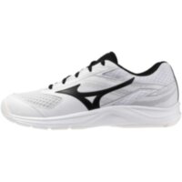 Чоловічі кросівки для тенісу Mizuno BREAK SHOT 5 CS (61GR254309)