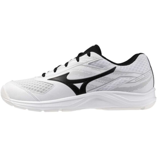 Чоловічі кросівки для тенісу Mizuno BREAK SHOT 5 CS (61GR254309) фото 1