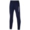 Мужские спортивные штаны Mizuno SENDAI TRAINING PANT (P2ED764514)