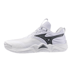 Мужские волейбольные кроссовки Mizuno Wave MOMENTUM ELITE (V1GA251283)