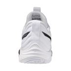 Мужские волейбольные кроссовки Mizuno Wave MOMENTUM ELITE (V1GA251283)