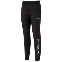 Чоловічі спортивні штани Mizuno TERRY PANT L (M) (32ED7B65LC09)