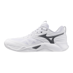 Мужские волейбольные кроссовки Mizuno Wave MOMENTUM PRO (V1GA254083)