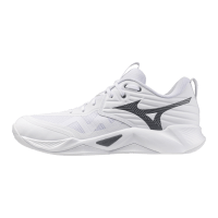 Мужские волейбольные кроссовки Mizuno Wave MOMENTUM PRO (V1GA254083)